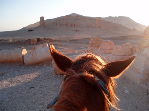 Palmyra in 2008. I mostly seem to have used a horse back then, presumably because I was too drunk or lazy to walk